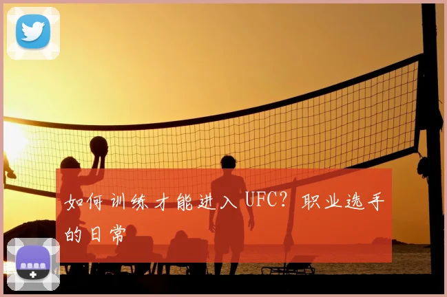 如何训练才能进入 UFC？职业选手的日常