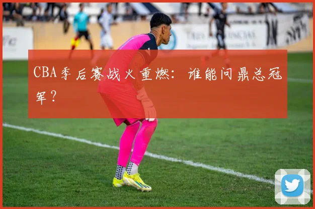 CBA季后赛战火重燃：谁能问鼎总冠军？