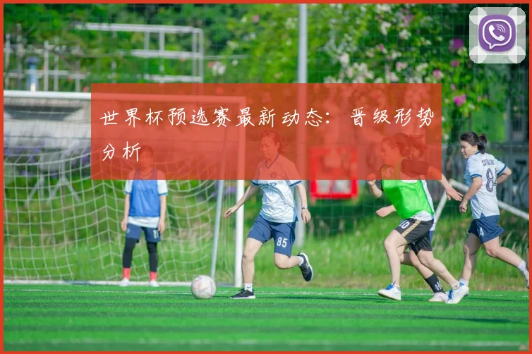 世界杯预选赛最新动态:晋级形势分析